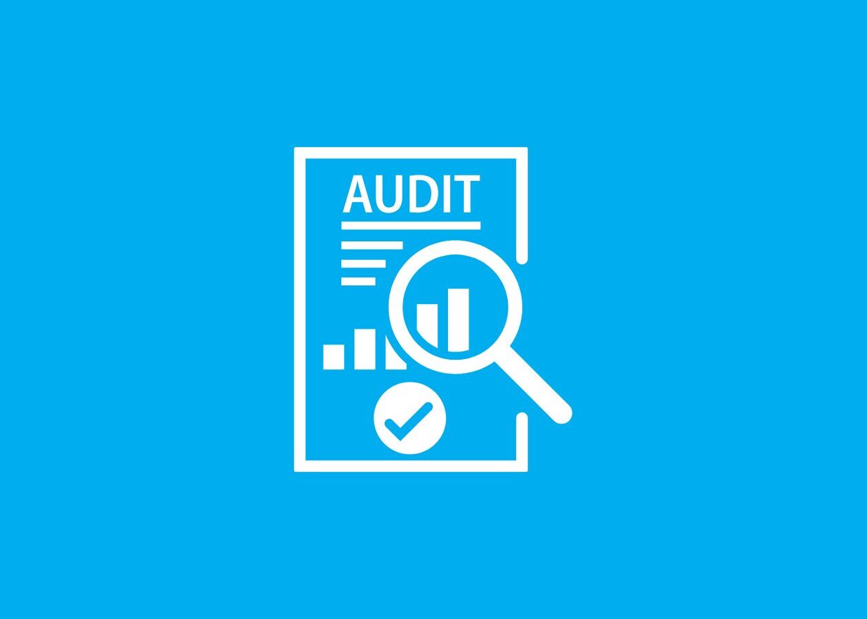 audit - third line of defense
